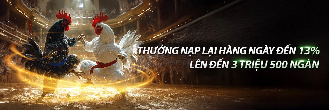 Cá cược thể thao tại K88CC Trang Chủ Chính Thức